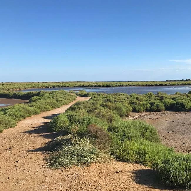 Les paysages de la Grande Maïre
