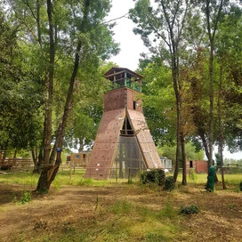 La tour d’escalade au milieu des arbres du parc